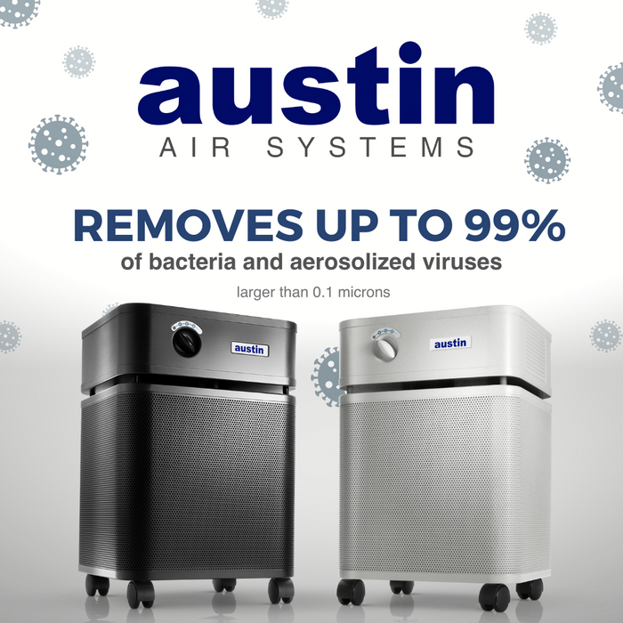 Austin Air HealthMate Air Purifier